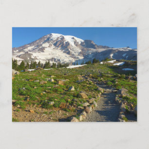 Mount Rainier Skyline Trail Uitzicht Briefkaart