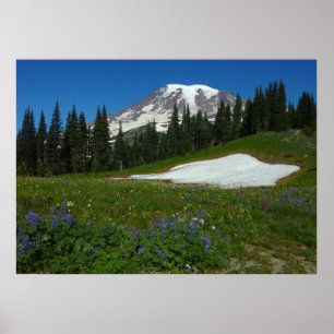 Mount Rainier, Wilde Bloemen en Sneeuw Poster