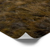 Mount Ruapehu Poster (Hoek)