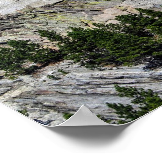 Mount Rushmore Poster (Hoek)