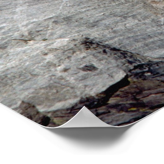 Mount Rushmore Poster (Hoek)