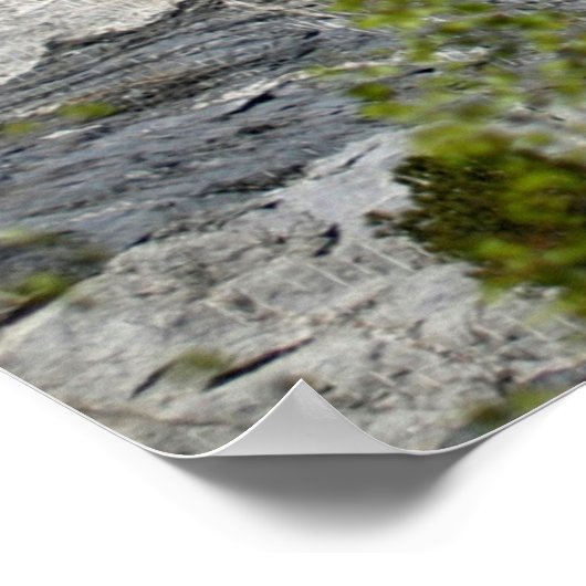 Mount Rushmore Poster (Hoek)