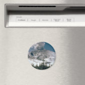 Mount Saint Helens - Pre-Eruption Magneet (Insitu (Vaatwasser))