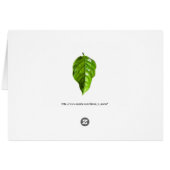 Mount Shasta (Achterkant Horizontaal)