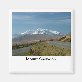 Mount Snowdon Magneet