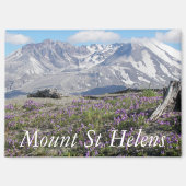 Mount St Helens Wildflower Landschap Magneet (Voorkant)