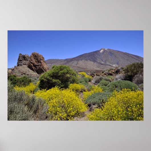 Mount Teide op Canarische eilanden Poster (Voorkant)