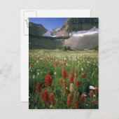 MOUNT TIMPANOGOS WILDERNESS, UT, ONS, BRIEFKAART (Voorkant / Achterkant)