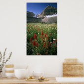 MOUNT TIMPANOGOS WILDERNESS, UT, ONS, POSTER (Keuken)