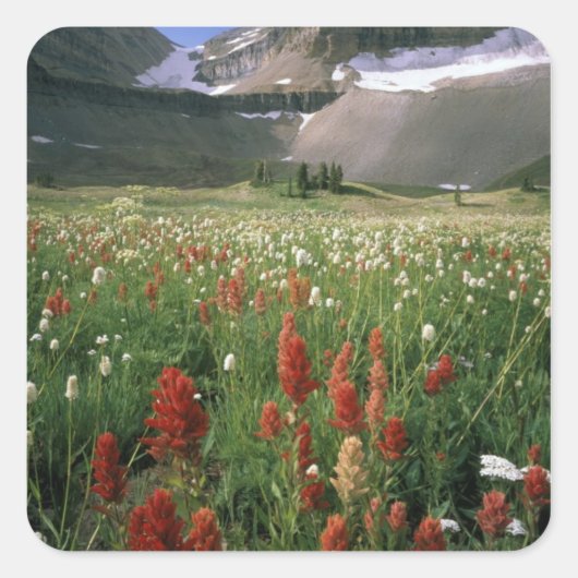 MOUNT TIMPANOGOS WILDERNESS, UT, ONS, VIERKANTE STICKER (Voorkant)