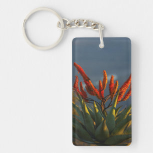 Mountain Aloe (Aloe Marlothii Berger) Sleutelhanger