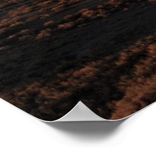 Mountain Ararat Poster (Hoek)