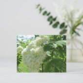 Mountain Ash Blossom-postkaart Briefkaart (Staand voorkant)