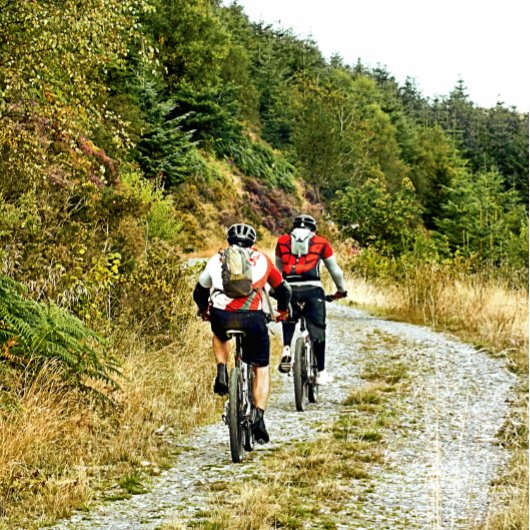 MOUNTAIN BIKING PLANNER