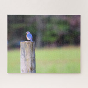 Mountain Blue Bird - 16x20 inch Legpuzzel
