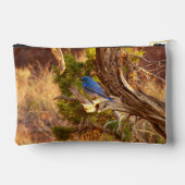 Mountain Bluebird at Arches National Park Etui (Achterkant)