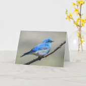 Mountain Bluebird Notecard Kaart (Gele Bloem)