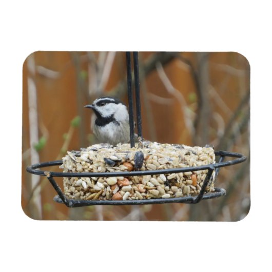 Mountain Chickadee on Feeder Magneet (Horizontaal)