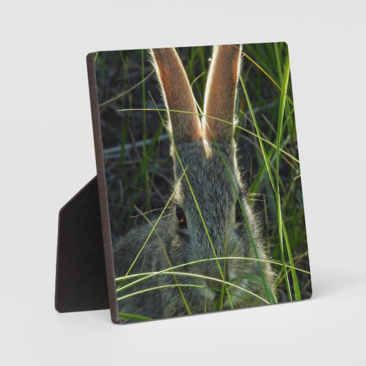 Mountain Cottontail Desktop Plaque Fotoplaat (Voorkant)