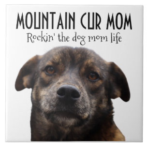 Mountain Cur Mam Ceramic Tile Tegeltje