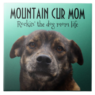 Mountain Cur Mam Ceramic Tile Tegeltje
