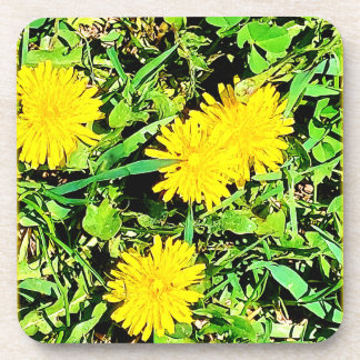 Mountain Dandelions Foto. Bestel nu Bier Onderzetter