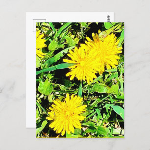 Mountain Dandelions Pic uit Spring Ottawa Canada Briefkaart