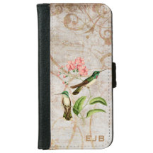 Mountain Gem Hummingbird