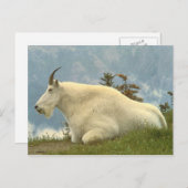 Mountain Goat Briefkaart (Voorkant / Achterkant)