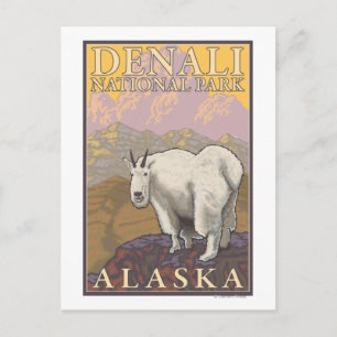 Mountain Goat - Denali National Park, Alaska Briefkaart