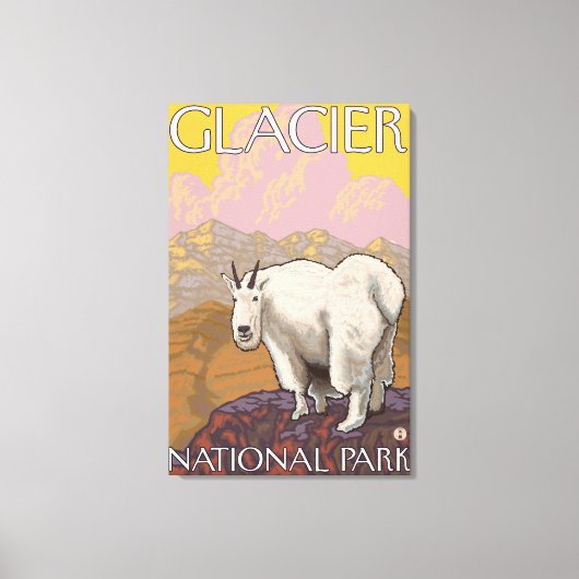 Mountain Goat - Glacier National Park, MT Canvas Afdruk (Voorkant)