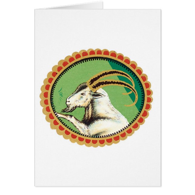 Mountain Goat Graphic (Voorkant)