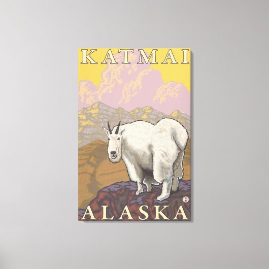 Mountain Goat - Katmai, Alaska Canvas Afdruk (Voorkant)