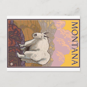 Mountain Goat - Montana Briefkaart