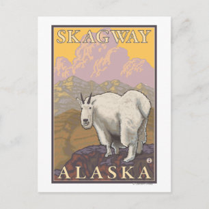 Mountain Goat - Skagway, Alaska Briefkaart