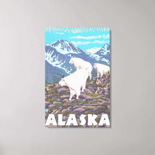 Mountain Goats Scene - Denali National Park Canvas Afdruk (Voorkant)