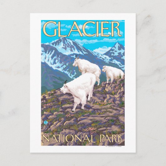 Mountain Goats Scene - Glacier National Park Briefkaart (Voorkant)