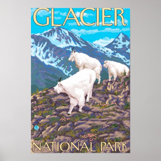 Mountain Goats Scene - Glacier National Park Poster (Voorkant)