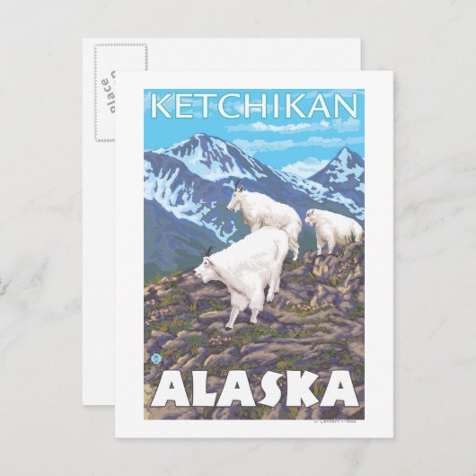 Mountain Goats Scene - Ketchikan, Alaska Briefkaart (Voorkant / Achterkant)