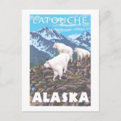 Mountain Goats Scene - Latouche, Alaska Briefkaart (Voorkant)