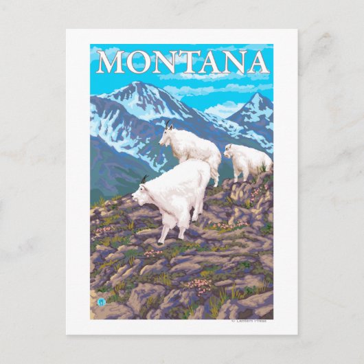 Mountain Goats Scene - Montana Briefkaart (Voorkant)