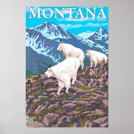 Mountain Goats Scene - Montana Poster (Voorkant)
