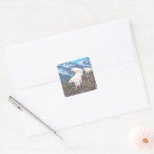 Mountain Goats Scene - Sitka, Alaska Vierkante Sticker (Envelop)