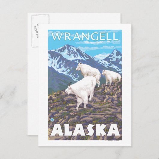 Mountain Goats Scene - Wrangell, Alaska Briefkaart (Voorkant / Achterkant)