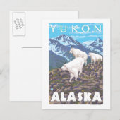Mountain Goats Scene - Yukon, Alaska Briefkaart (Voorkant / Achterkant)