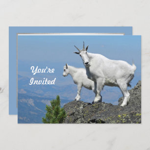 Mountain Goats White Wildlife Foto Birthday Kaart