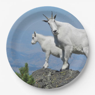 Mountain Goats White Willife Photo Papieren Bordje