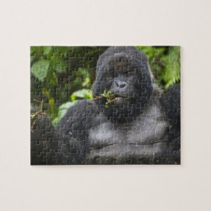 Mountain Gorilla en Silverback Legpuzzel