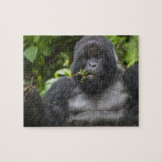 Mountain Gorilla en Silverback Legpuzzel (Horizontaal)