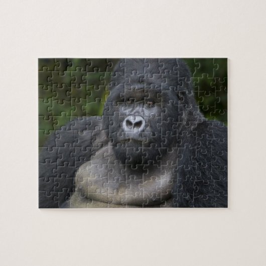 Mountain Gorilla en Silverback Legpuzzel (Horizontaal)